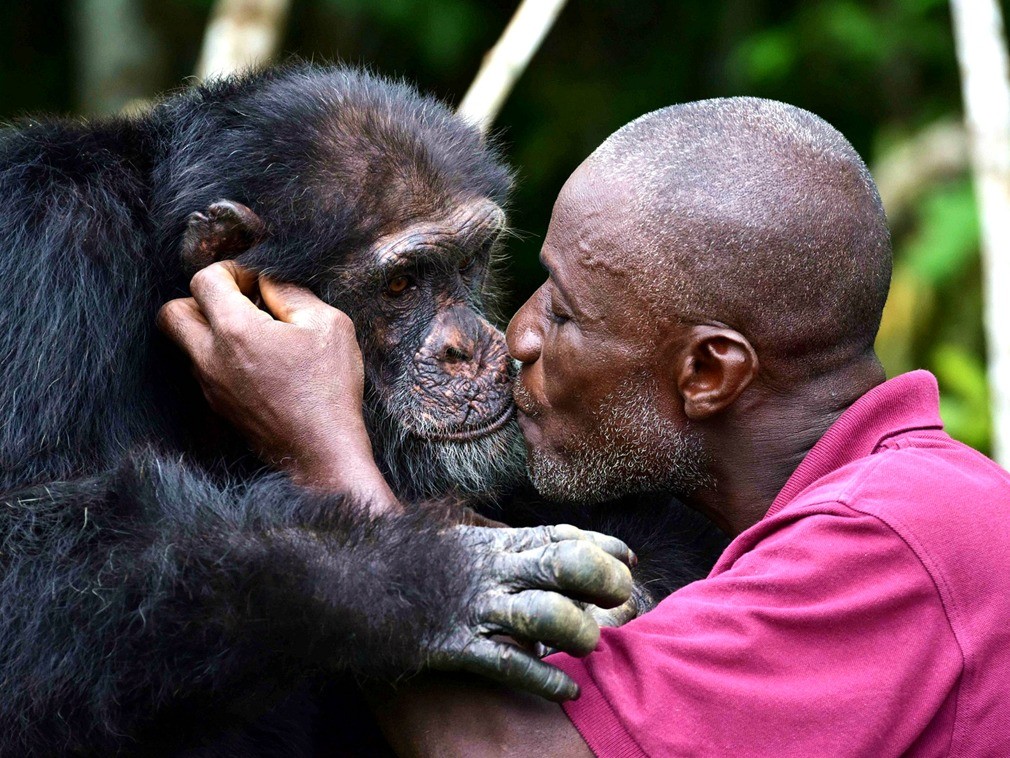 九游娱乐(jiuyou)官网-关于球场上的感人瞬间：队友互助的暖心时刻的信息