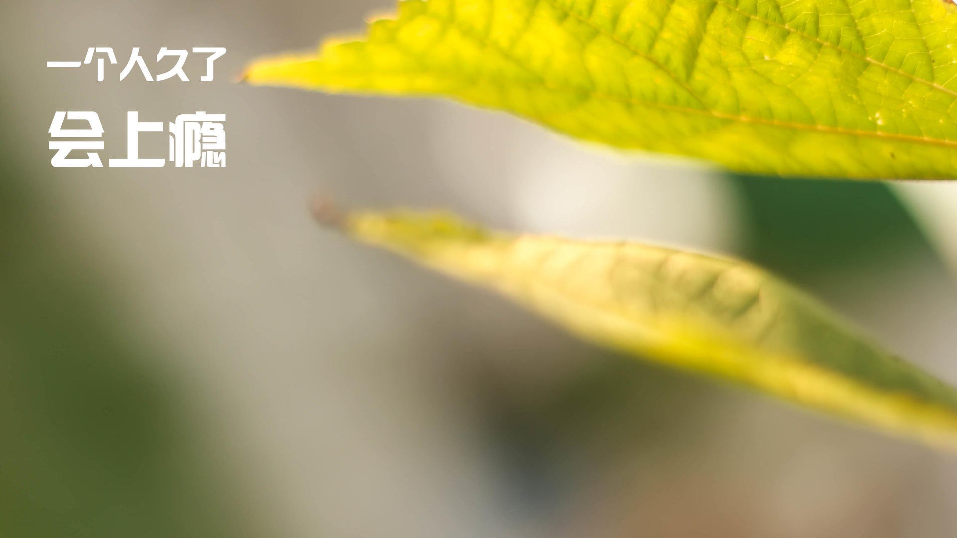 JIUYOU GAMING-乒乓球赛事赛制更新，带来更刺激的比赛体验，乒乓球赛事赛制更新,带来更刺激的比赛体验是什么