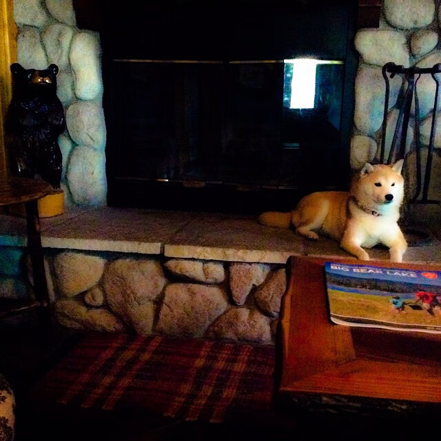 掘金球员开设视频日志记录训练日常，2021掘金球员合同